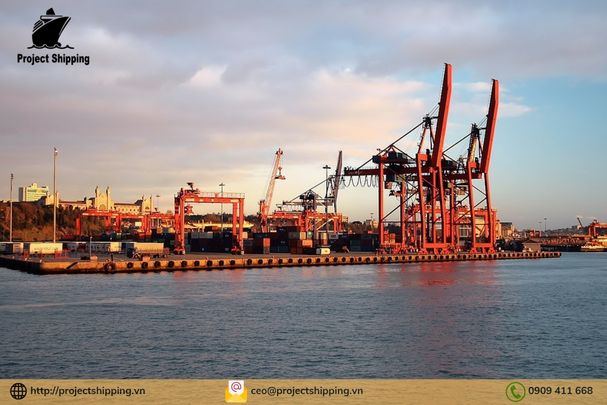 Phụ phí và Local Charge tại Việt Nam