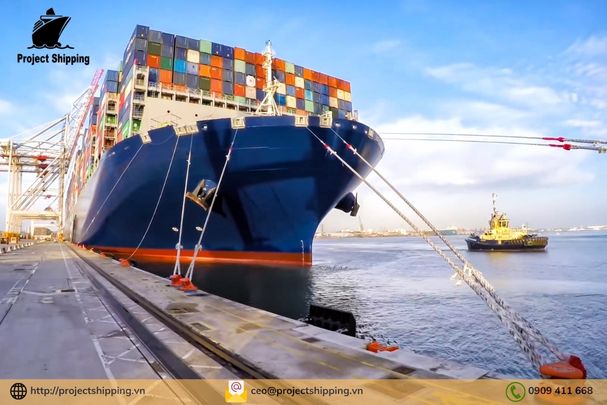 Phụ phí và Local Charge tại Việt Nam