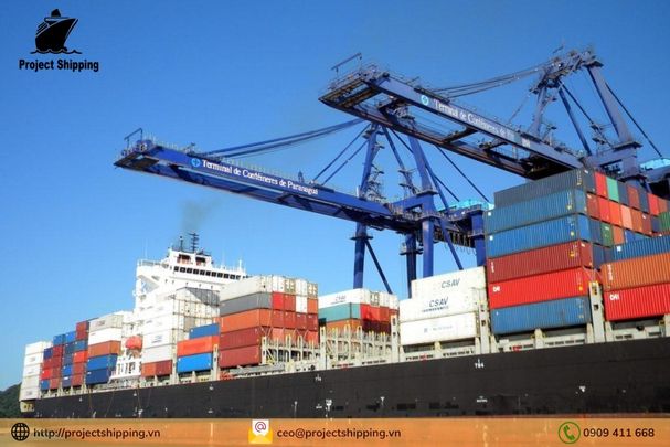 Phụ phí và Local Charge tại Việt Nam