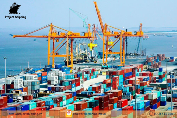Cước vận chuyển đường biển từ Cảng Cát Lái đến Cảng Tauranga