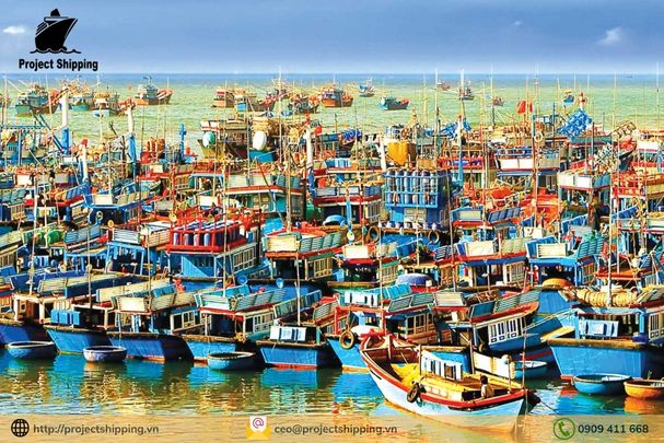 Cước vận chuyển đường biển từ Cảng Đà Nẵng đến Cảng Manatee