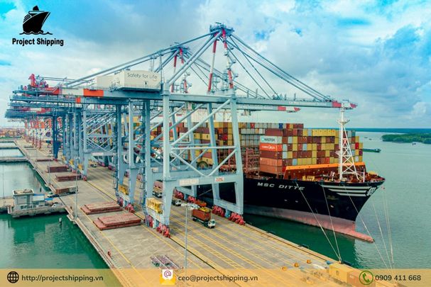 Cước vận chuyển đường biển từ Cảng Đà Nẵng đến Cảng Mobile