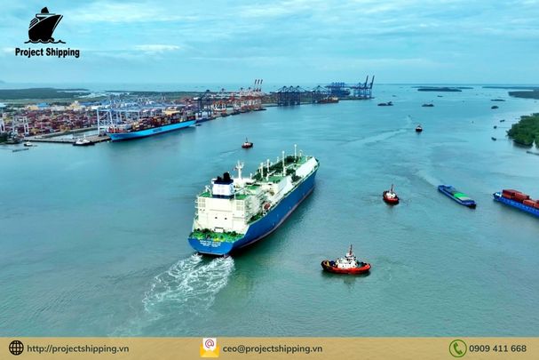 Cước vận chuyển đường biển từ Cảng Đà Nẵng đến Cảng Plaquemines-Louisiana