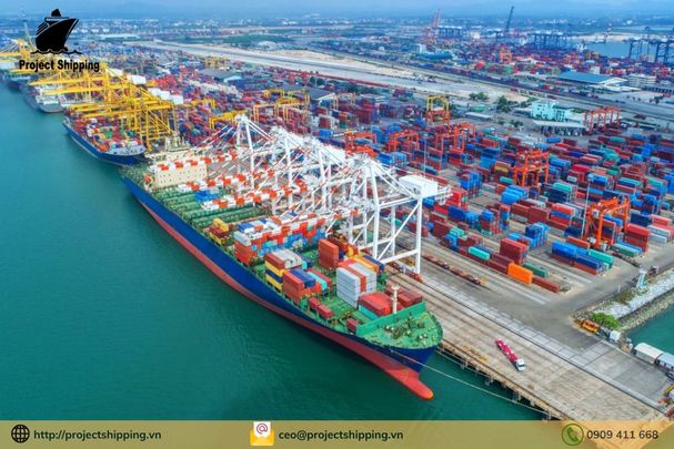 Cước vận chuyển đường biển từ Cảng Đà Nẵng đến Cảng Tampa