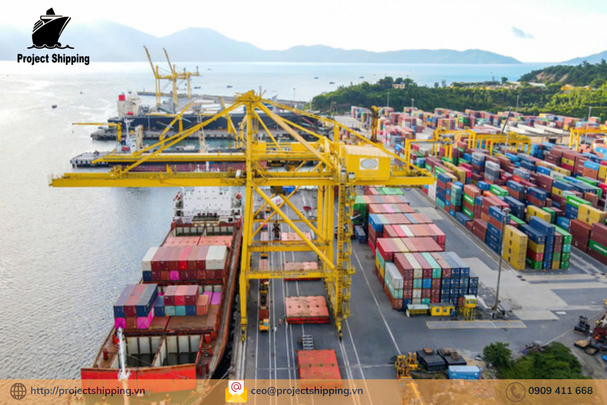 Cước vận chuyển đường biển từ Cảng Đà Nẵng đến Cảng Tauranga