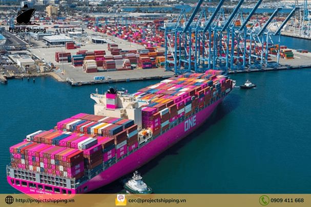 Cước vận chuyển đường biển từ Cảng Đà Nẵng đến Cảng Wilmington (NC)