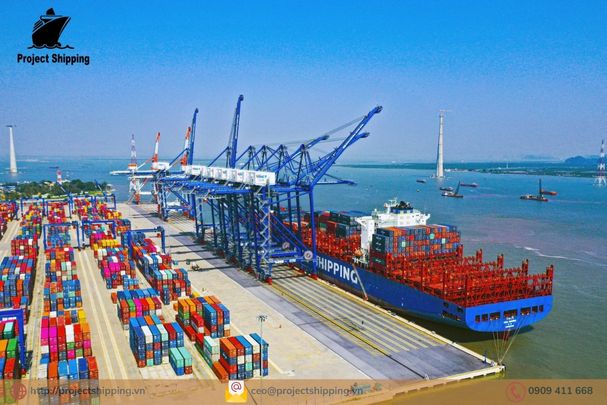 Cước vận chuyển đường biển từ Cảng Fortaleza đến Cảng Đà Nẵng