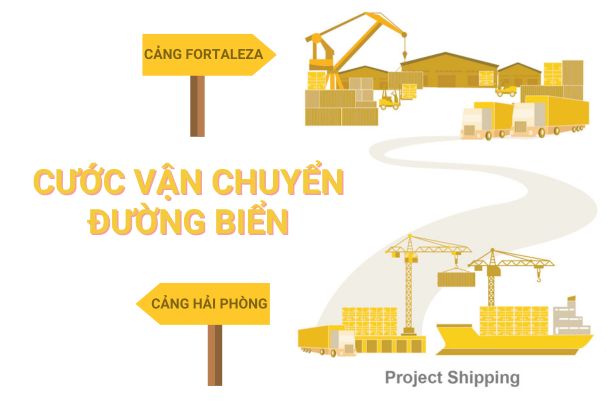 Cước vận chuyển đường biển từ Cảng Hải Phòng đến Cảng Fortaleza