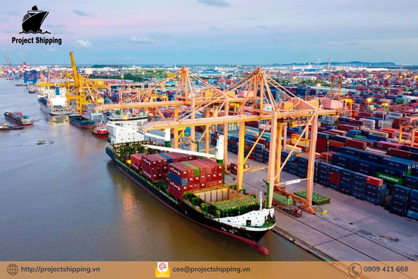 Cước vận chuyển đường biển từ Cảng Hải Phòng đến Cảng Tauranga