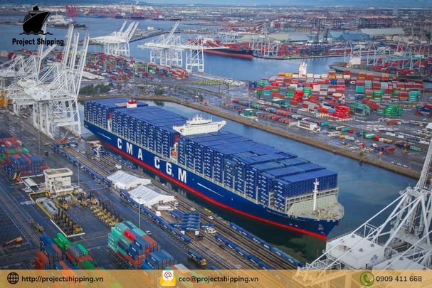 Cước vận chuyển đường biển từ Cảng Mobile đến Cảng Cát Lái
