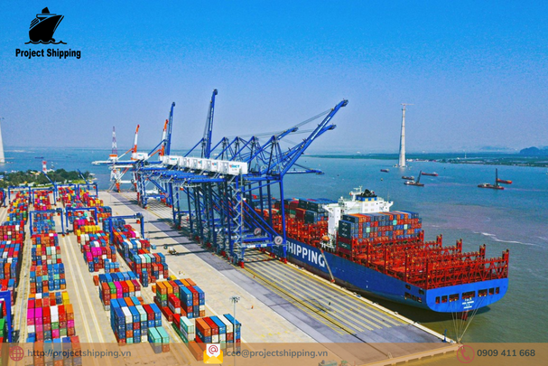 Cước vận chuyển đường biển từ Cảng Napier đến Cảng Cát Lái