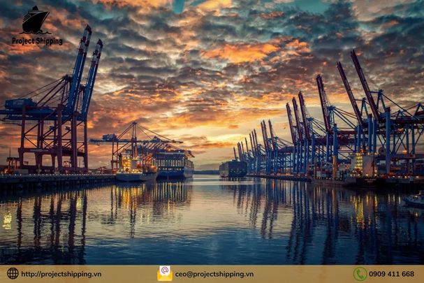 Cước vận chuyển đường biển từ Cảng Oakland đến Cảng Cát Lái