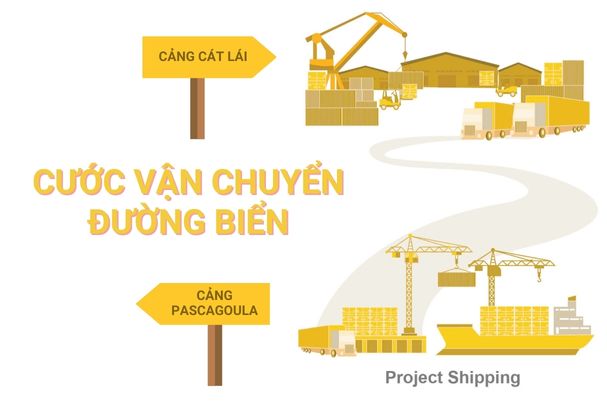 Cước vận chuyển đường biển từ Cảng Pascagoula đến Cảng Cát Lái