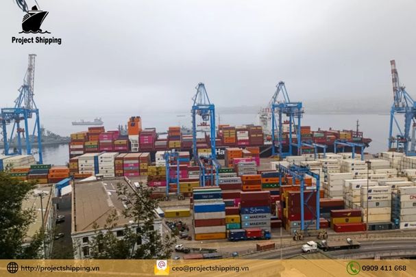 Cước vận chuyển đường biển từ Cảng Plaquemines Louisiana đến Cảng Cát Lái