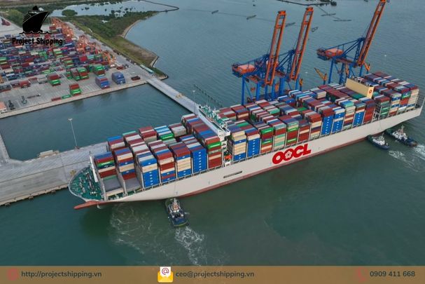 Cước vận chuyển đường biển từ Cảng Recife đến Cảng Đà Nẵng