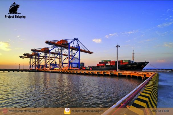 Những lưu ý khi vận chuyển hàng từ Itapoa – Brazil đi Đà Nẵng Việt Nam