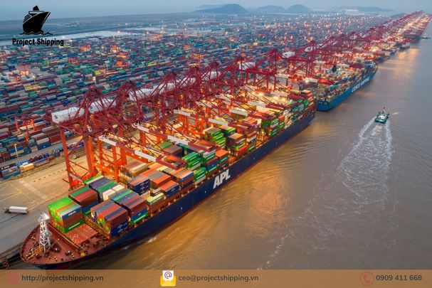 Những lưu ý khi vận chuyển hàng từ Suape – Brazil đi Hải Phòng Việt Nam