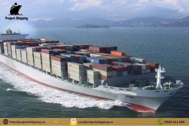 Phụ phí và Local Charge tại Việt Nam