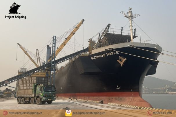 Phụ phí và Local Charge tại Việt Nam