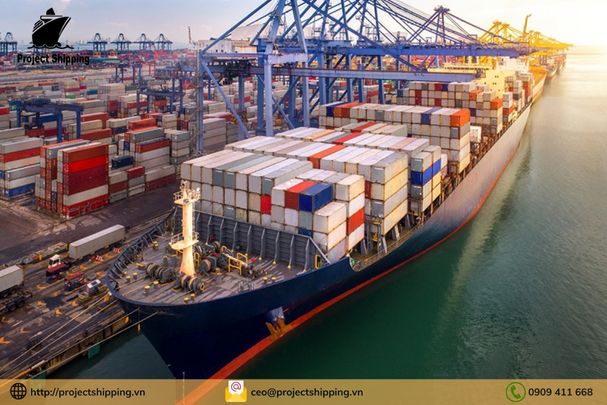 Cước vận chuyển đường biển từ Cảng Antwerp đến Cảng Đà Nẵng