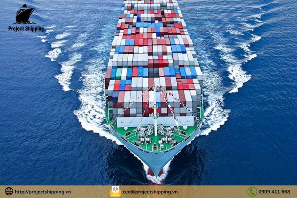 Cước vận chuyển đường biển từ Cảng Đà Nẵng đến Cảng Zeebrugge