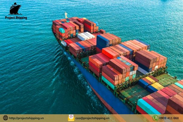 Vận chuyển hàng lẻ từ Đà Nẵng Việt Nam đi Zeebrugge - Bỉ và ngược lại bằng đường biển (Less than Container Load – LCL)