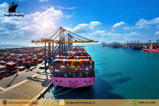 Cước vận chuyển đường biển từ Cảng Buenaventura đến Cảng Đà Nẵng
