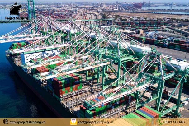 Cước vận chuyển đường biển từ Cảng Cát Lái đến Cảng Barranquilla