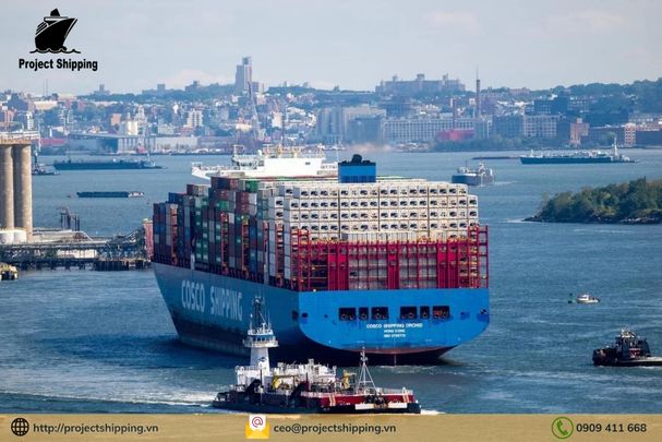 Cước vận chuyển đường biển từ Cảng Long Beach đến Cảng Đà Nẵng