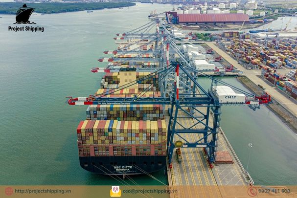 Cước vận chuyển đường biển từ Cảng Nuevitas đến Cảng Đà Nẵng