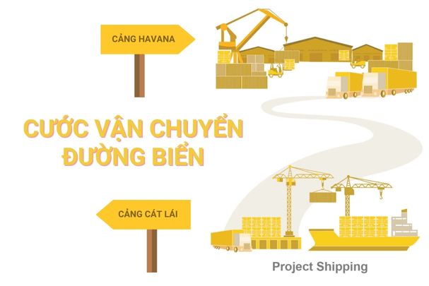 Cước vận chuyển đường biển từ Cảng Cát Lái đến Cảng Havana