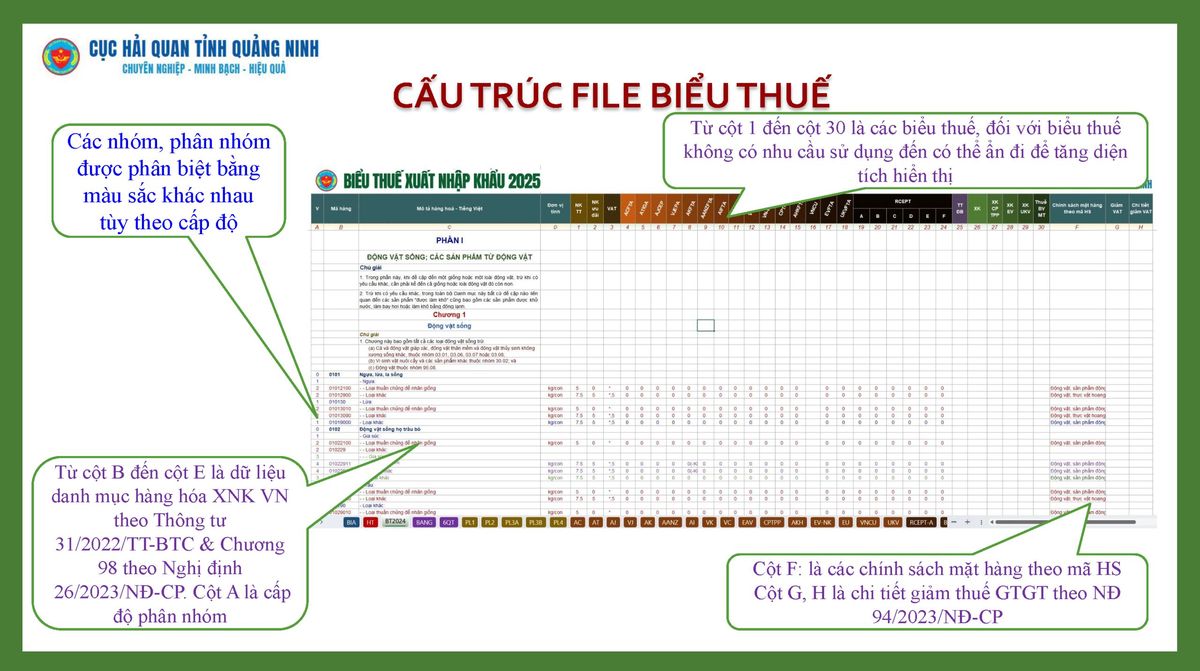 Cấu trúc file biểu thuế xuất nhập khẩu Excel